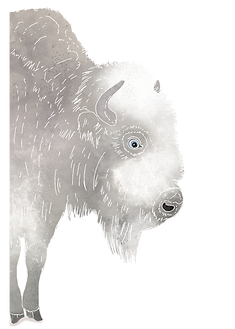 趣味・スポーツ・実用 THE RETURN OF THE WHITE ANIMALS ORACLE The Return of the White Animals Oracle – Tarot By Peachy